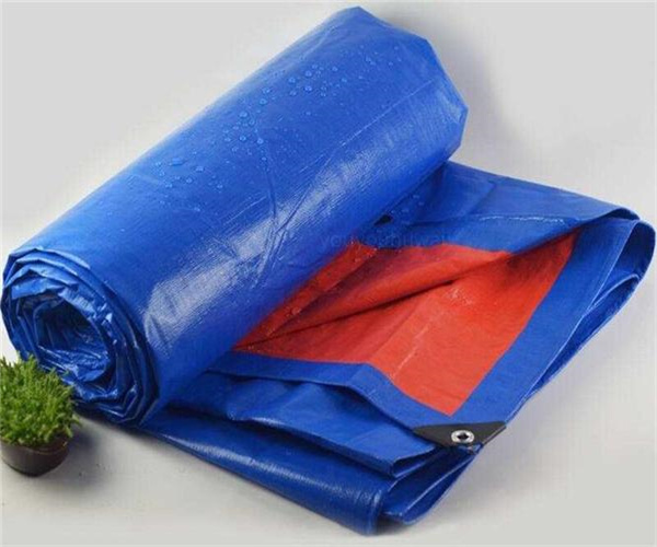 8.jpg 香港正版传真资料大全