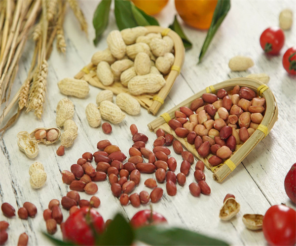 14.jpg 香港正版传真资料大全