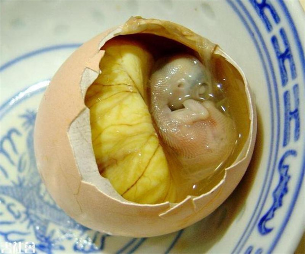 18.jpg 香港正版传真资料大全