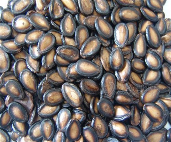 16.jpg 香港正版传真资料大全