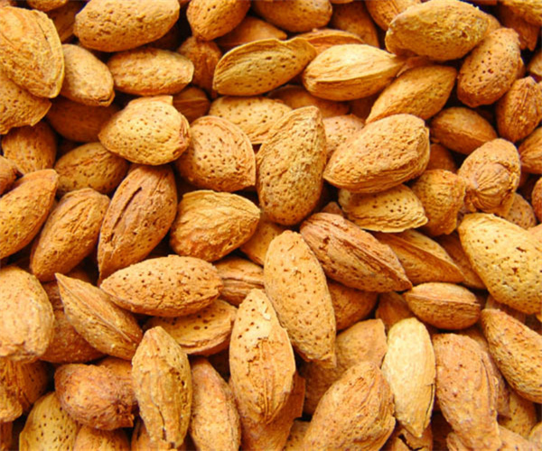 14.jpg 香港正版传真资料大全