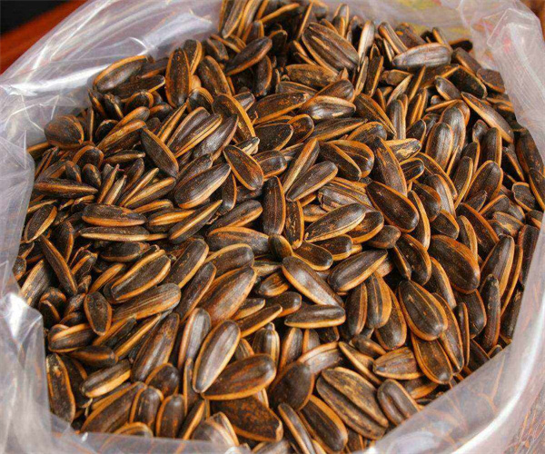 12.jpg 香港正版传真资料大全