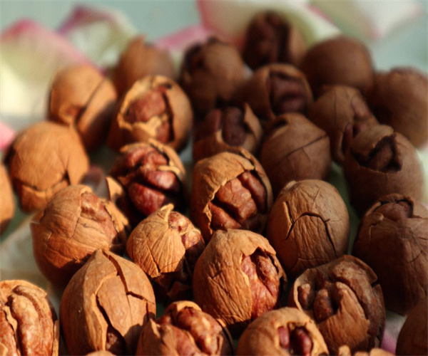 20.jpg 香港正版传真资料大全