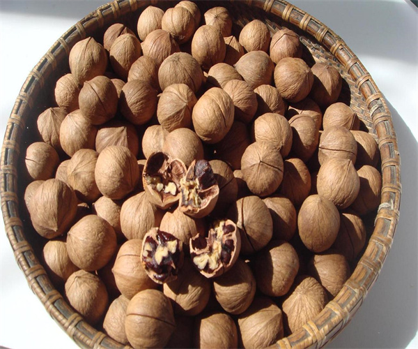 熟制山核桃重金属检测 熟制山核桃微量元素检测