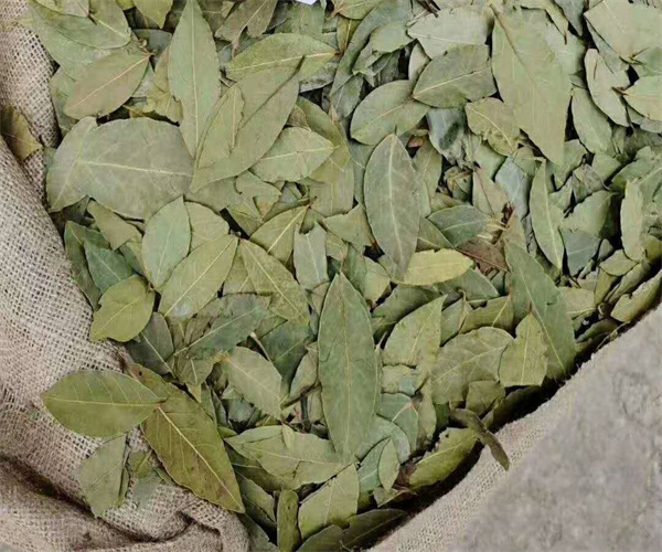 18.jpg 香港正版传真资料大全