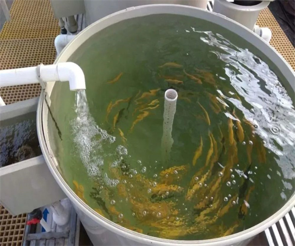 20.jpg 香港正版传真资料大全