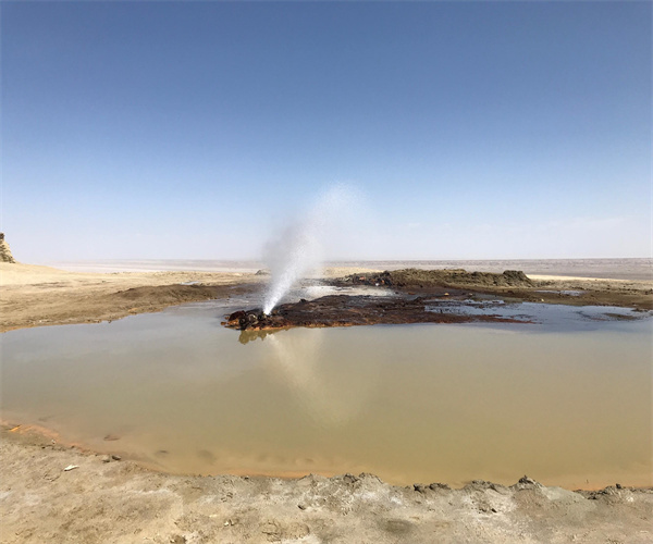 16.jpg 香港正版传真资料大全