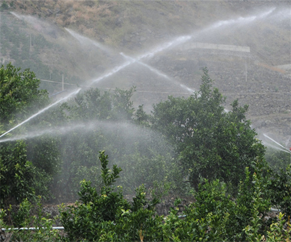 10.jpg 香港正版传真资料大全