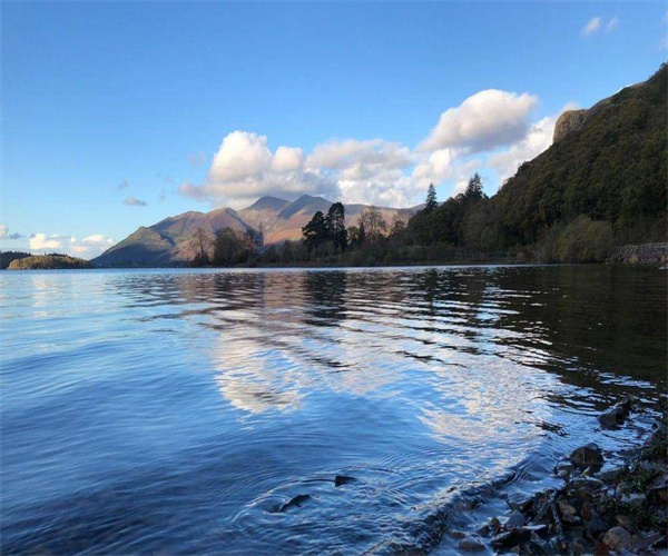 14.jpg 香港正版传真资料大全