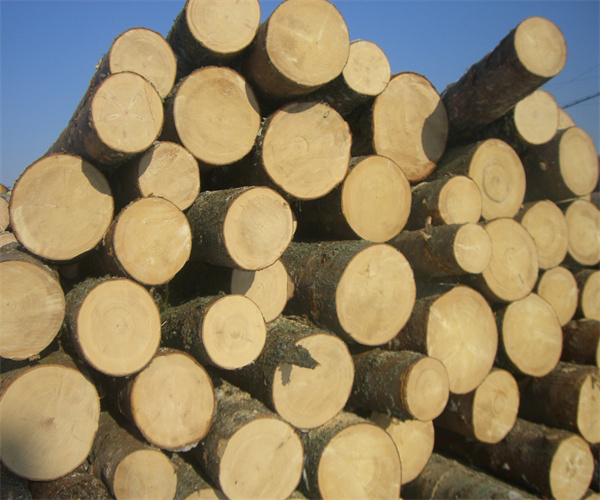 香港正版传真资料大全