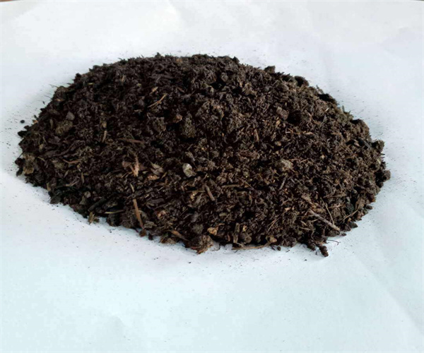 香港正版传真资料大全