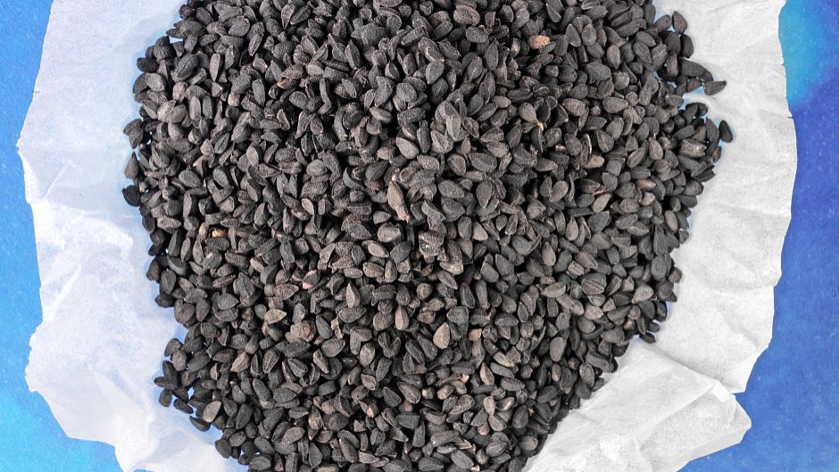 佛山煤灰成分分析，煤炭热值检测找哪家单位做