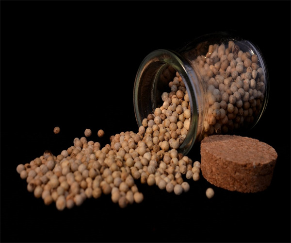 2.jpg 香港正版传真资料大全