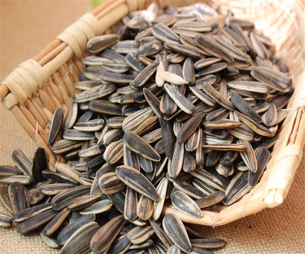 8.jpg 香港正版传真资料大全