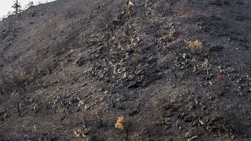 汕头市煤炭检测,木炭工业分析检测单位