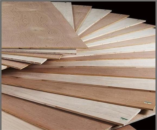 6.jpg 香港正版传真资料大全