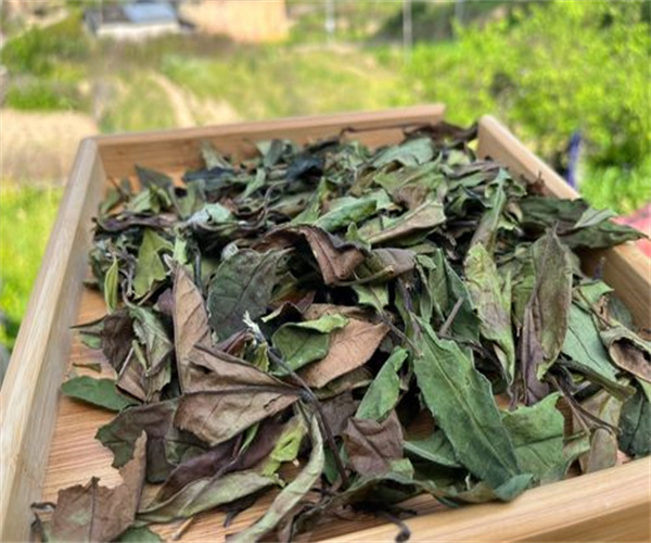 14.jpg 香港正版传真资料大全