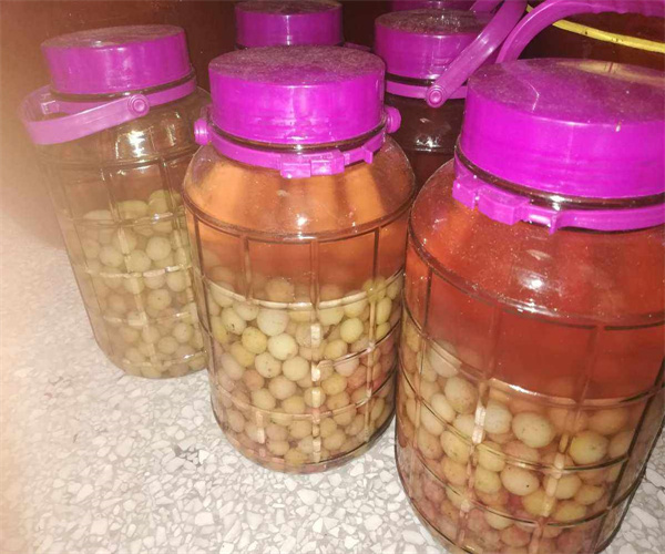 6.jpg 香港正版传真资料大全