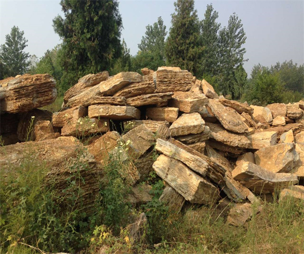 14.jpg 香港正版传真资料大全