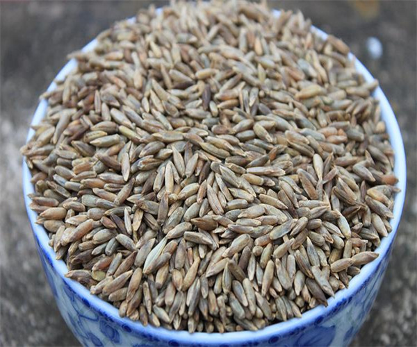 10.jpg 香港正版传真资料大全