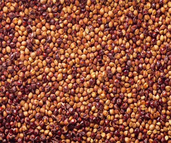 香港正版传真资料大全