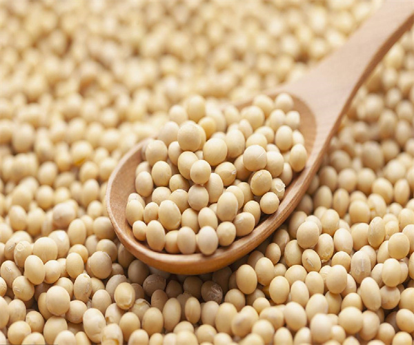 香港正版传真资料大全