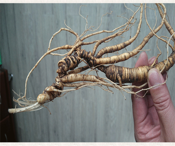 香港正版传真资料大全