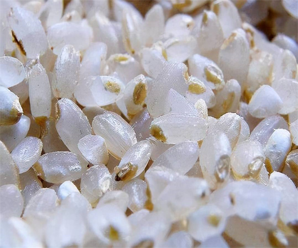 4.jpg 香港正版传真资料大全