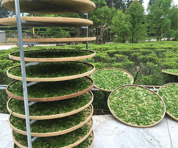 11.jpg 香港正版传真资料大全