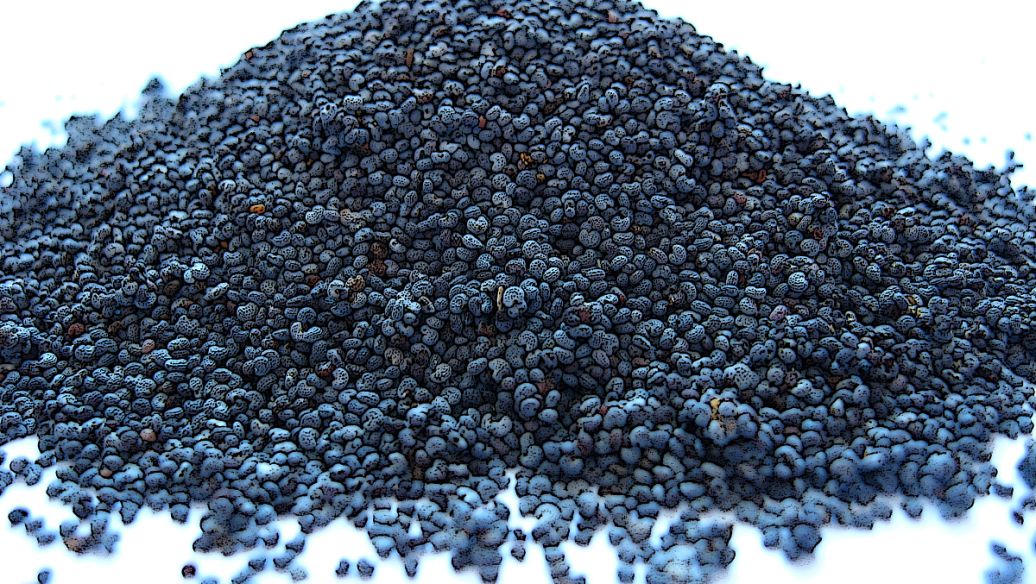 清远市石油焦成分分析，煤炭检测权威机构