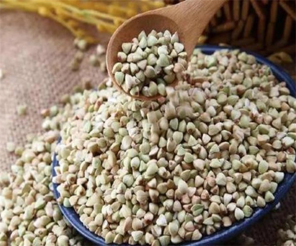 香港正版传真资料大全