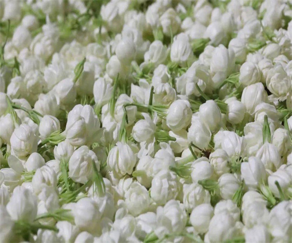 6.jpg 香港正版传真资料大全