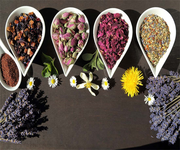 10.jpg 香港正版传真资料大全