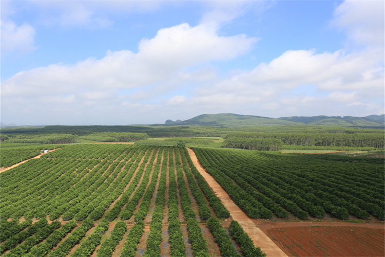 茂名淤泥检测中心,淤泥常规检测项目中心