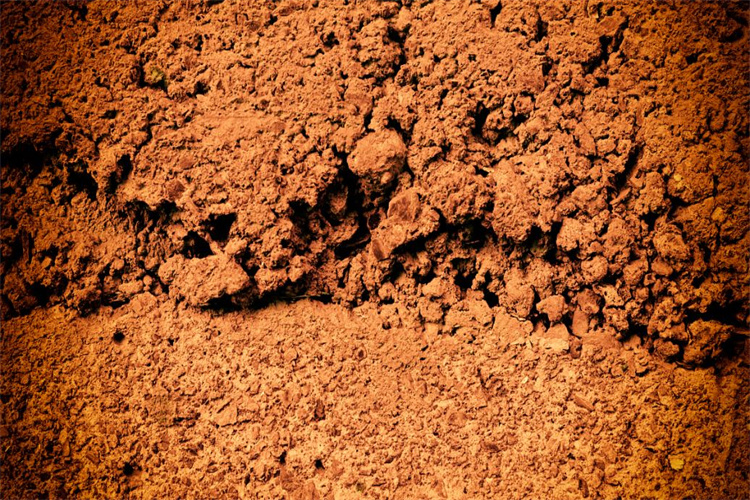 深圳市土壤是否适合种植检测