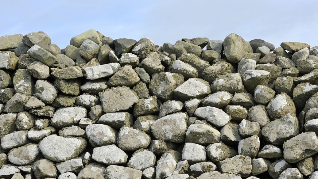 深圳市煤炭固定碳含量分析