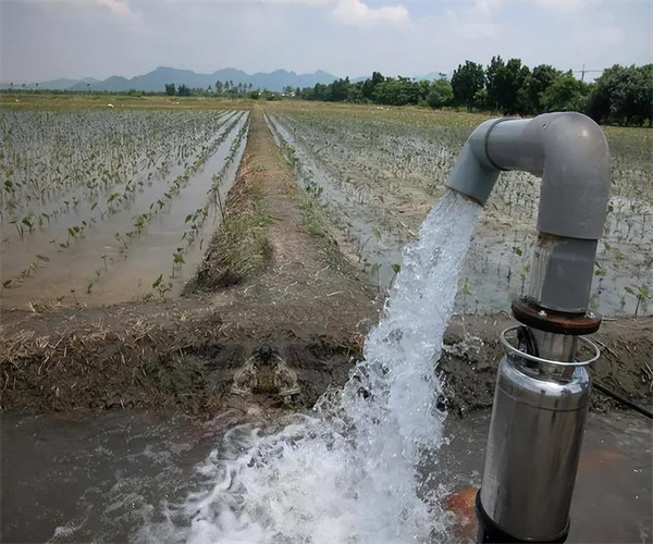 地下水硝酸盐氮检测 地下水氟化物检测