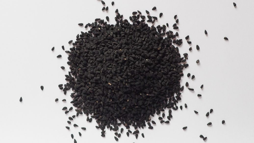 茂名河沙含泥量检测单位