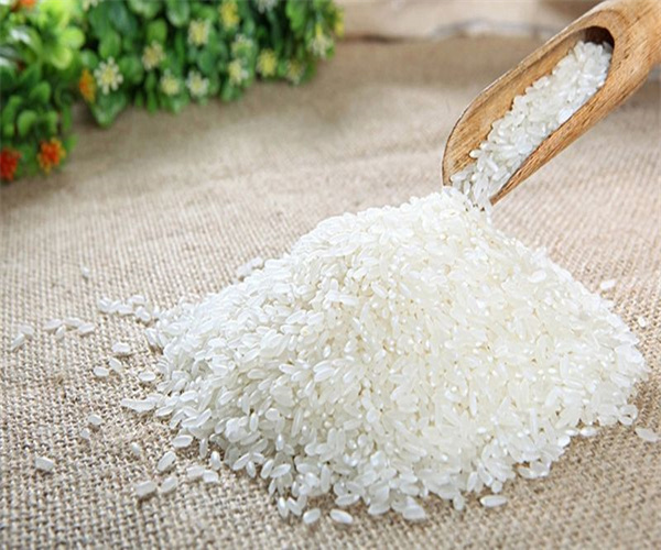 大米水分含量检测 大米营养成分检测