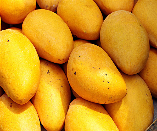 芒果农药残留检测 芒果维生素C检测