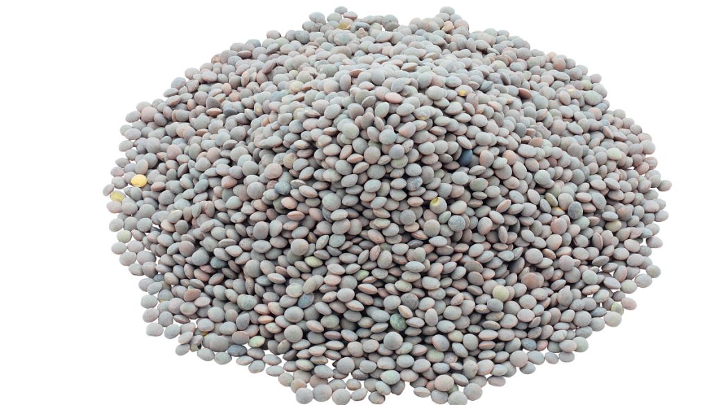 茂名水处理滤料检测，粒径检测CMA报告办理