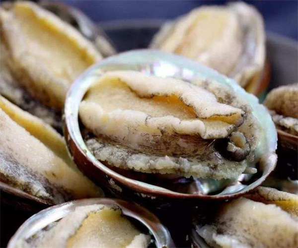 鲍鱼污染物限量检测 鲍鱼菌落总数检测