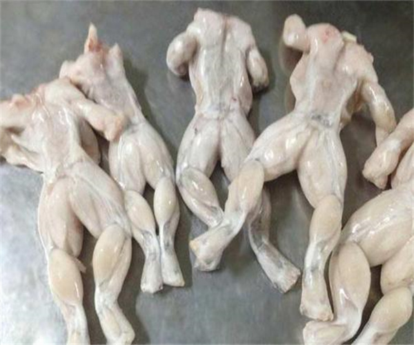 牛蛙兽药残留检测 牛蛙沙门氏菌检测