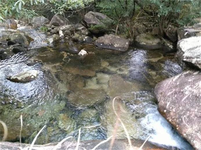 深圳市自来水常见问题及检测项目,饮用水检测