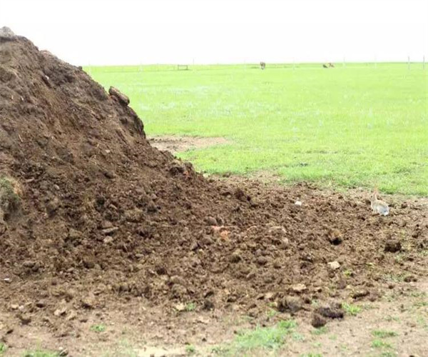 土壤重金属元素检测 土壤挥发性有机物检测