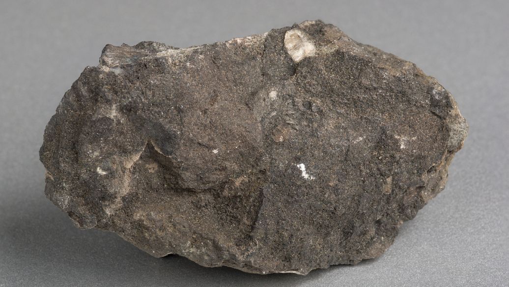 深圳市有色金属矿检测中心