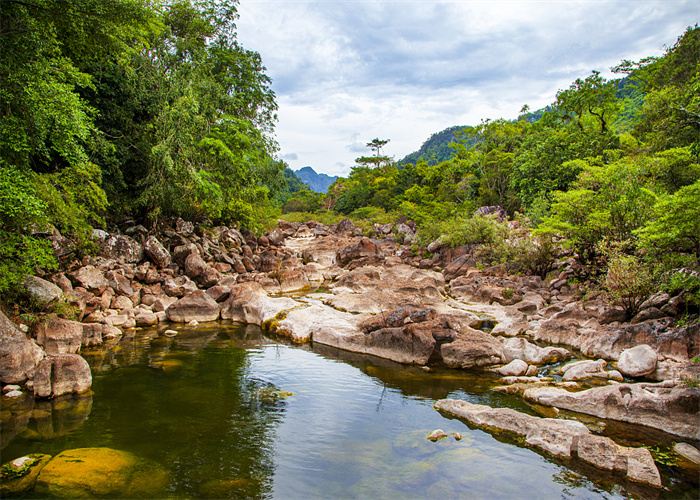 深圳市农副食品加工厂废水排放监测