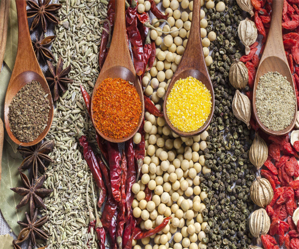 调味料重金属含量检测 调味料农药残留检测