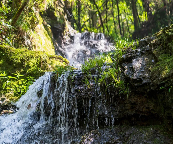 山泉水常规项目检测 山泉水微生物指标检测