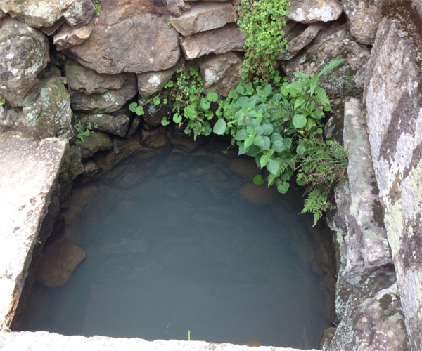 井水饮用检测项目 井水有机污染物检测